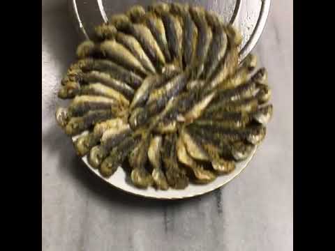 Balık İstavrit Tava